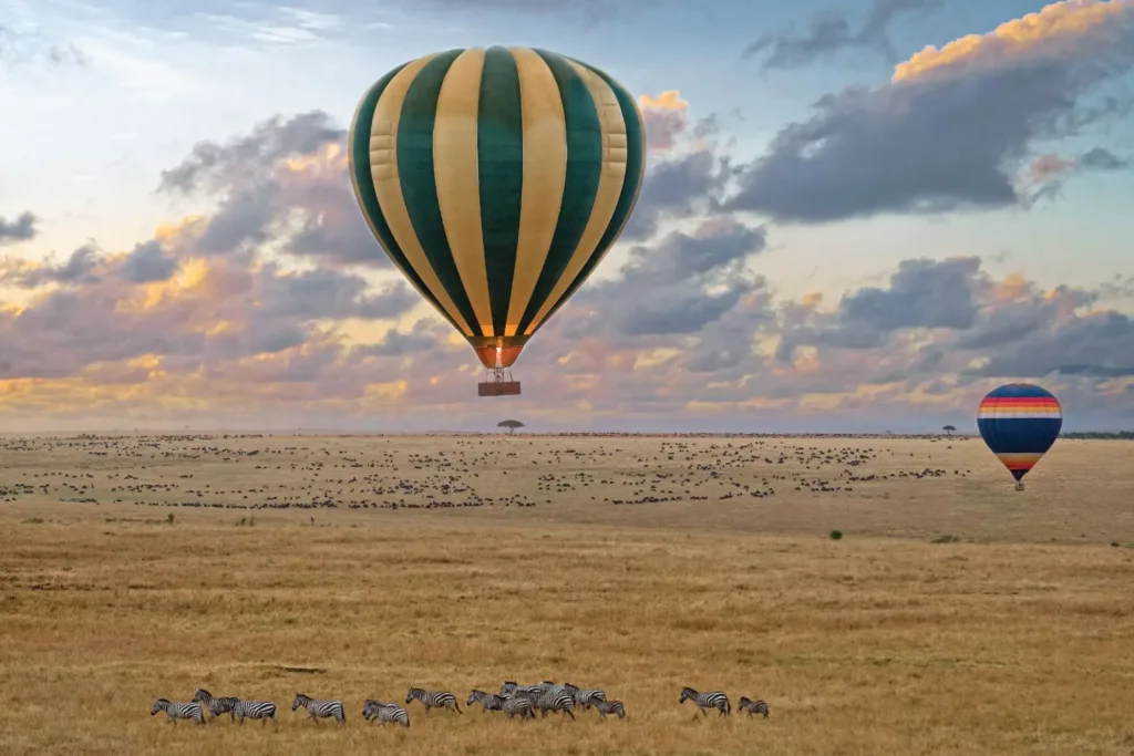 Calving season Safari