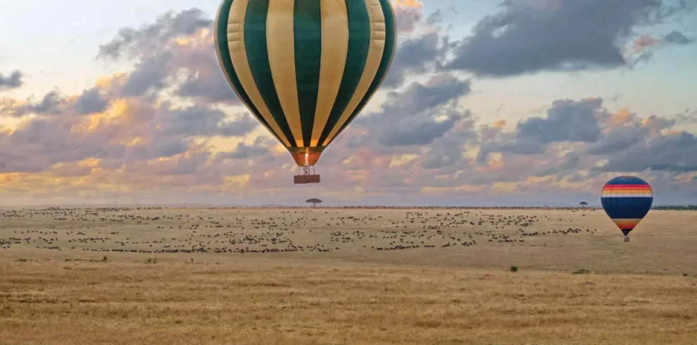 Calving season Safari