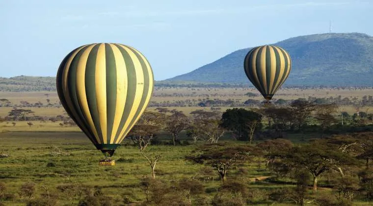 Hot air balloon