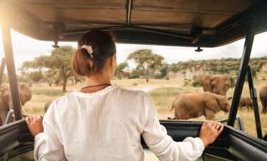 Tanzania Luxury Safari