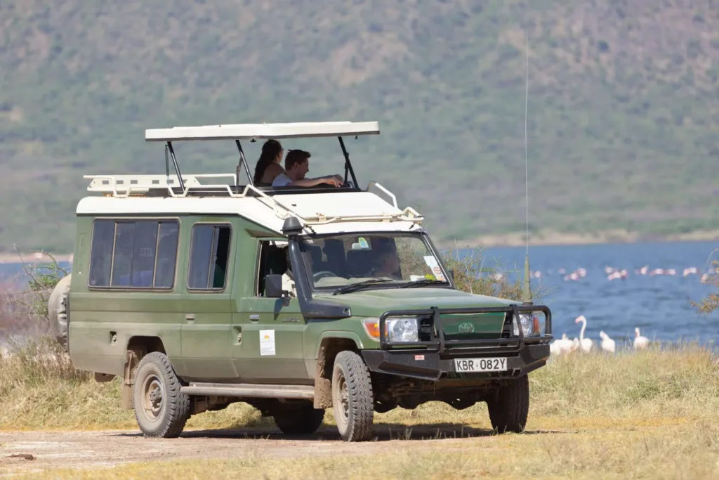 Authentic Wildlife Fly-In Safari Experience