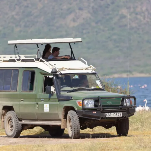 Authentic Wildlife Fly-In Safari Experience