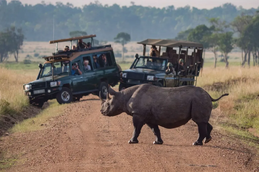 Scenic Calving season Safari Discovery