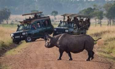 Scenic Calving season Safari Discovery