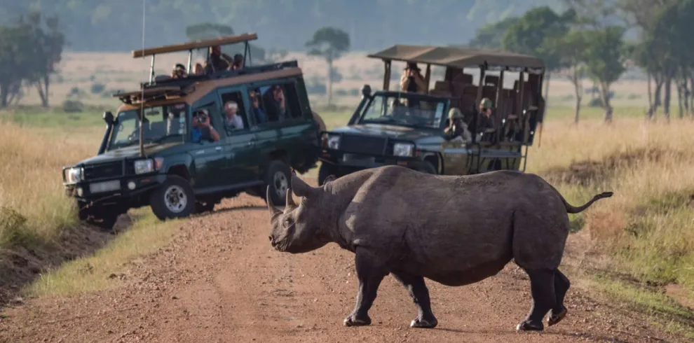 Scenic Calving season Safari Discovery