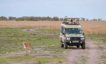 Prestige Tanzania Safari Expedition