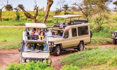 Budget Wildlife and Culture Expedition