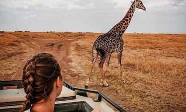 Serengeti Fly-In Safari