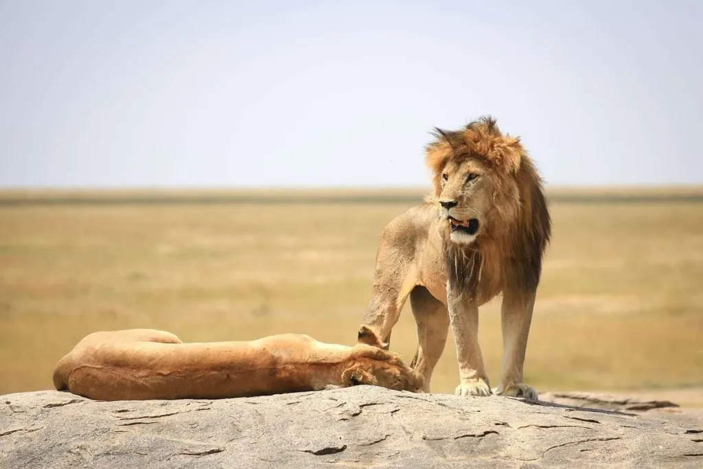 Selous Game Reserve