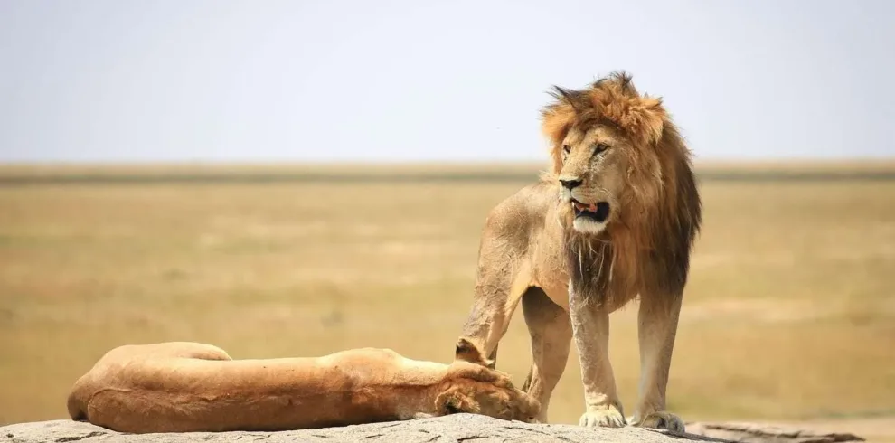Selous Game Reserve