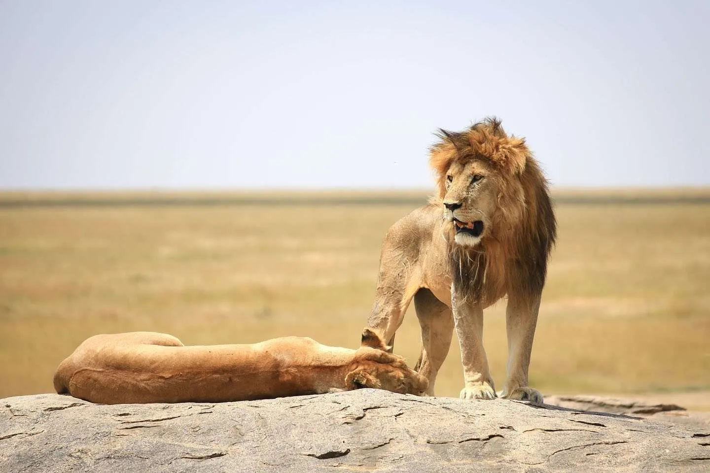 Selous Game Reserve