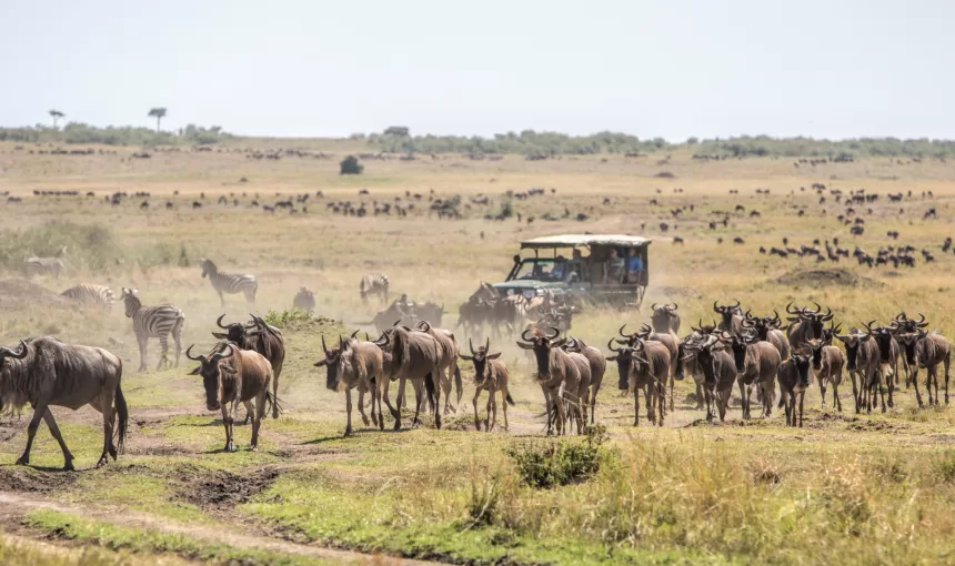 What It’s Like to Visit Tanzania During the Holiday Season