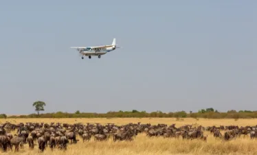 Fly-In Safari Experience