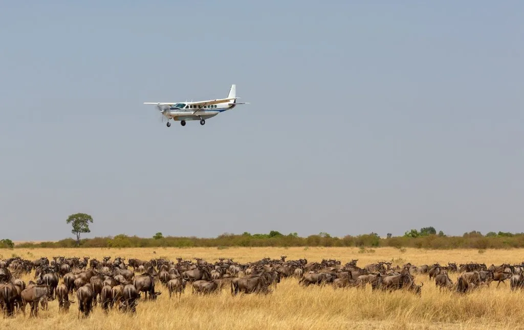 Fly-In Safari Experience