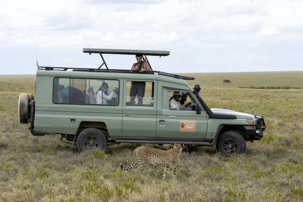 Essential Things to Know Before Your Safari