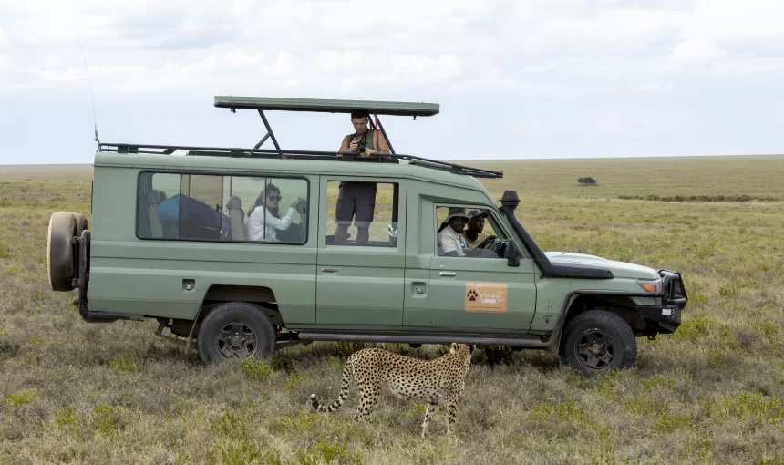 Essential Things to Know Before Your Safari