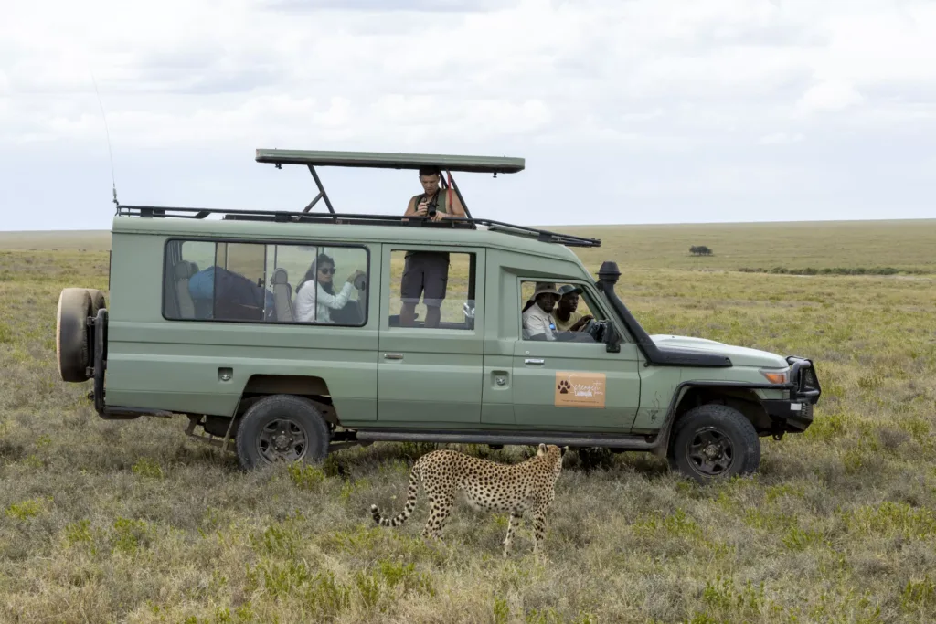Essential Things to Know Before Your Safari