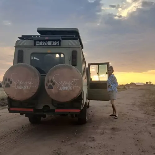 Honeymoon Safari
