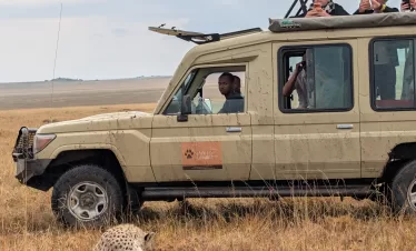 Luxury Wildlife Safari
