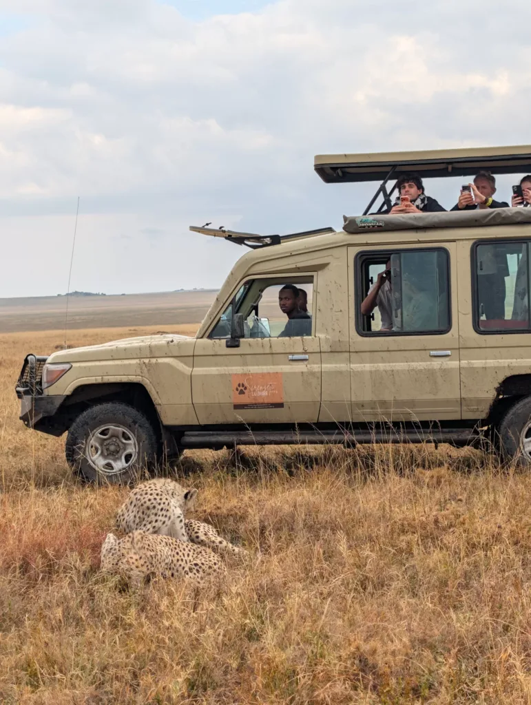 Luxury Wildlife Safari