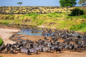 Best time to visit Tanzania