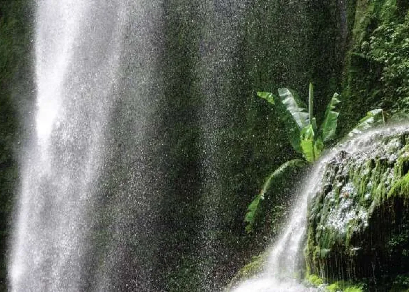 Udzungwa Mountains National Park