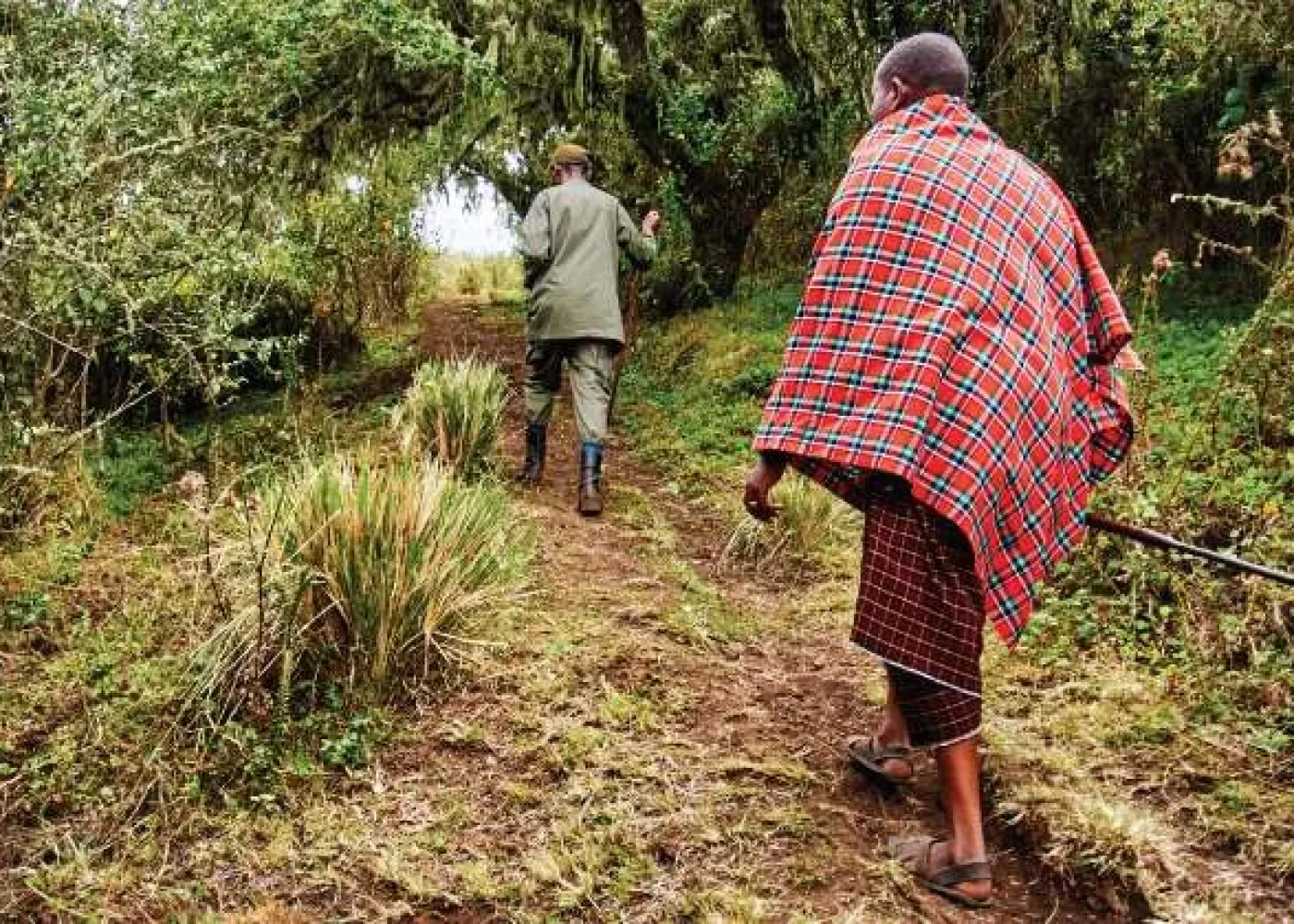 Walking Safari