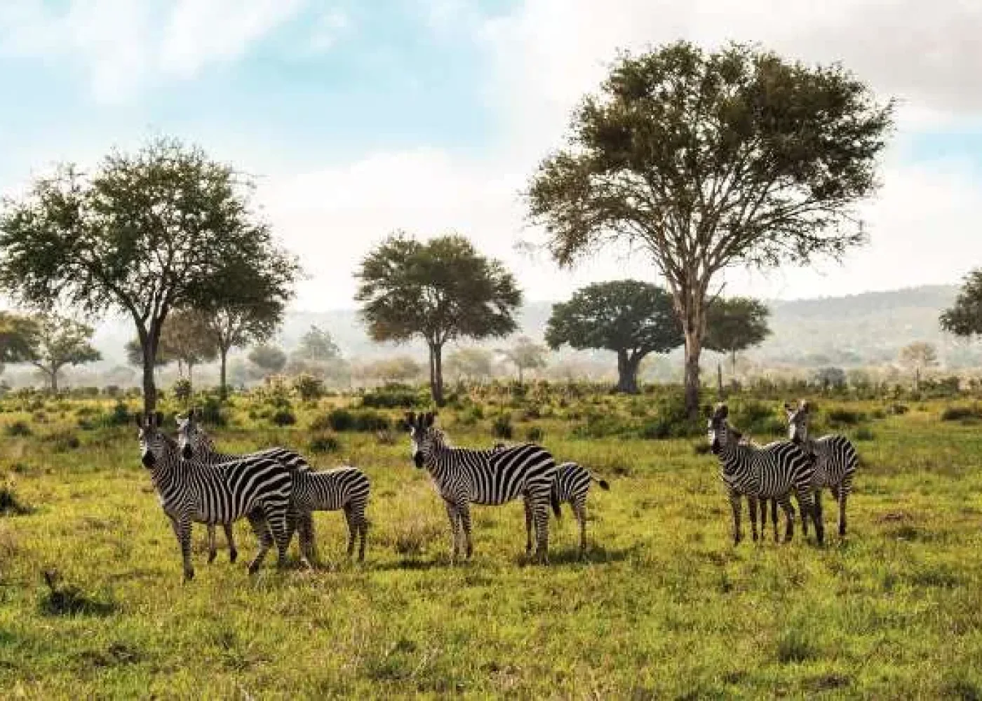 Selous Game Reserve